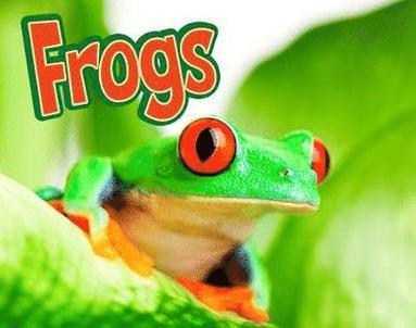 bokomslag Frogs