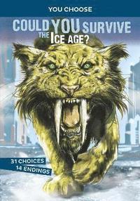 bokomslag Could You Survive the Ice Age?