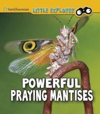 bokomslag Powerful Praying Mantises