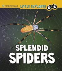 bokomslag Splendid Spiders
