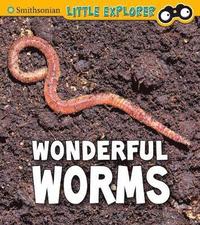 bokomslag Wonderful Worms