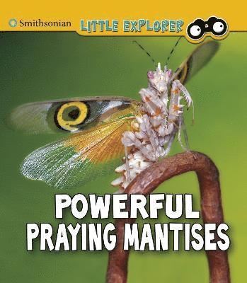 Powerful Praying Mantises 1