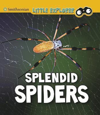 Splendid Spiders