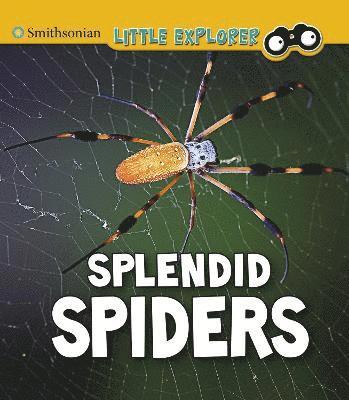 Splendid Spiders 1