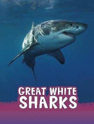 Great White Sharks 1