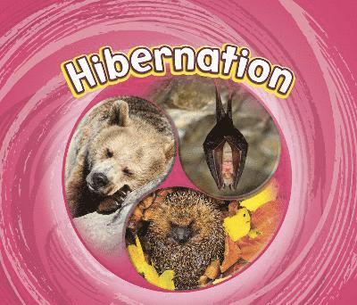 Hibernation 1
