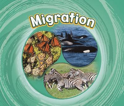 Migration 1