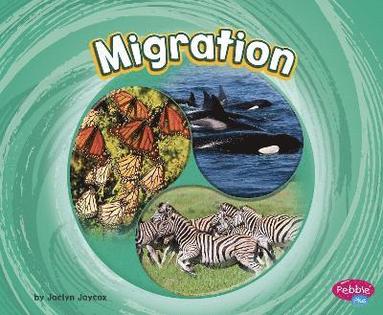 bokomslag Migration