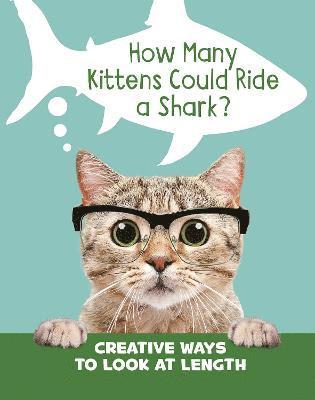 How Many Kittens Could Ride a Shark? 1