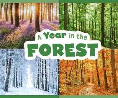 A Year in the Forest 1