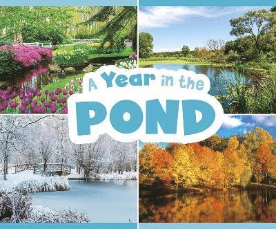 Year in the Pond