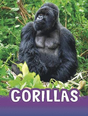 bokomslag Gorillas