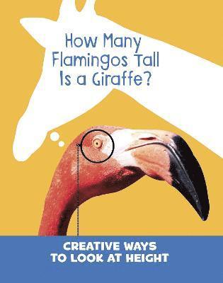 How Many Flamingos Tall is a Giraffe? 1