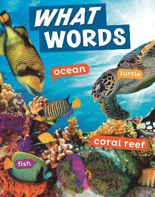 bokomslag What Words