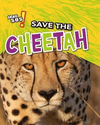 bokomslag Save the Cheetah