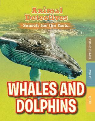 Whales and Dolphins 1