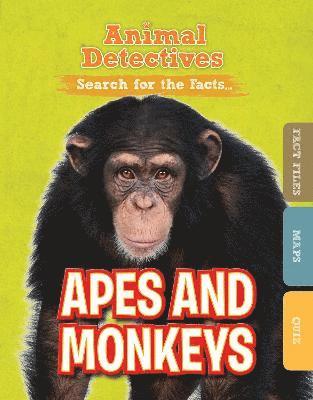 Apes and Monkeys 1