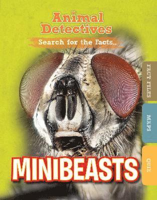 Minibeasts 1