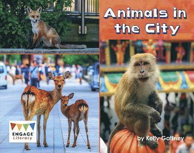 Animals in the City 1