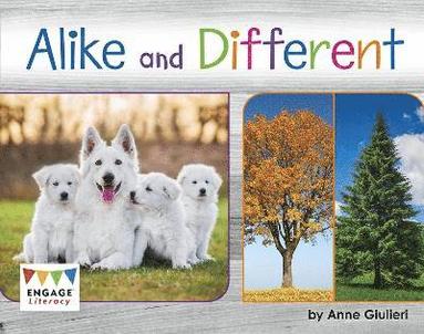 bokomslag Alike and Different