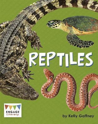 bokomslag Reptiles