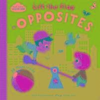 Start Little Learn Big Lift-the-Flap Opposites