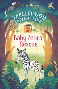 bokomslag Baby Zebra Rescue
