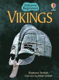 bokomslag Vikings