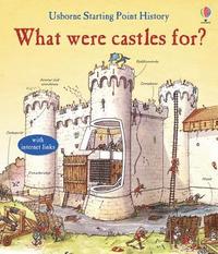 bokomslag What Were Castles For?