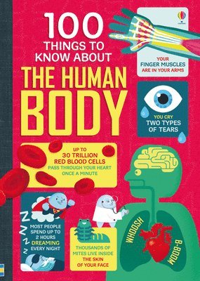 bokomslag 100 Things to Know About the Human Body