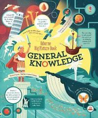 bokomslag Big Picture Book of General Knowledge