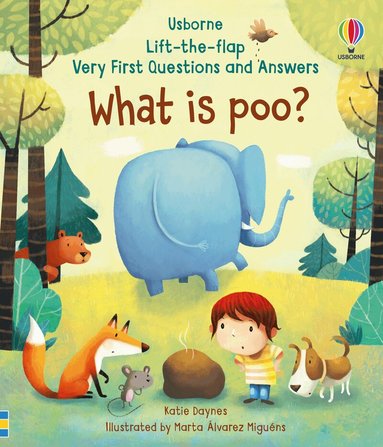 Katie Daynes - Very First Questions and Answers What is poo?, Kartonnage