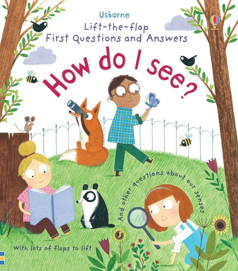 Katie Daynes - First Questions and Answers: How do I see?, Kartonnage