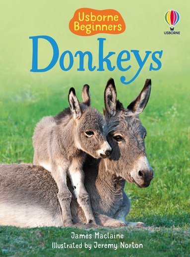 James Maclaine - Donkeys, Inbunden