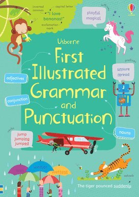 bokomslag First Illustrated Grammar and Punctuation