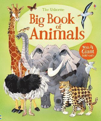 bokomslag Big Book of Animals