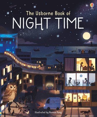 bokomslag Usborne Book of Night Time