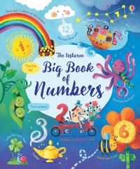 bokomslag Big Book of Numbers