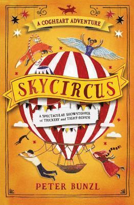 bokomslag Skycircus