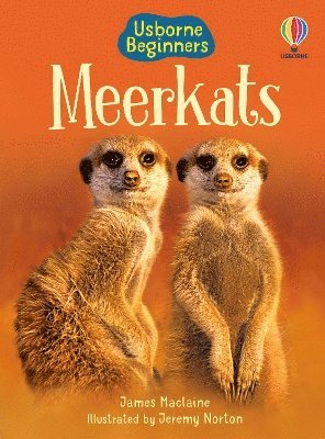 bokomslag Meerkats