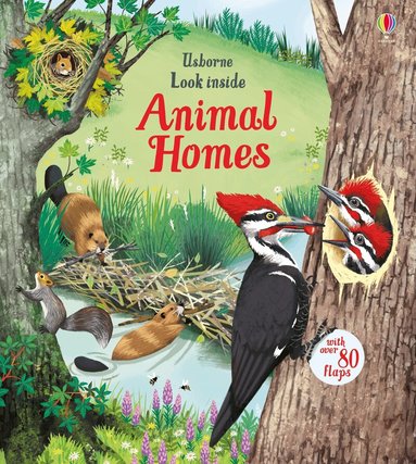 Emily Bone - Look Inside Animal Homes, Kartonnage