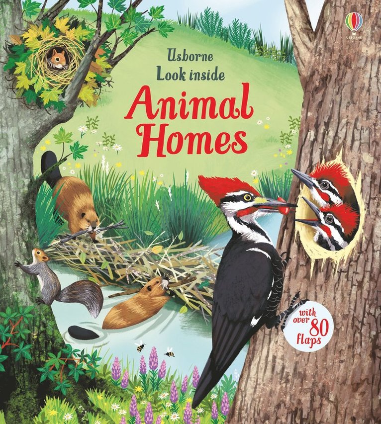 Look Inside Animal Homes 1