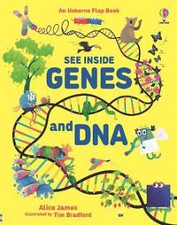 bokomslag See Inside Genes and DNA