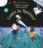 Daynes, K: Com'è lo spazio?