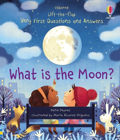 Katie Daynes - Very First Questions and Answers What is the Moon?, Kartonnage