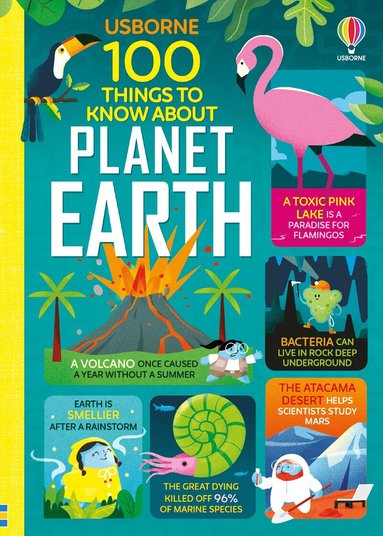Jerome Martin, Alice James, Darran Stobbart, Tom Mumbray - 100 Things to Know About Planet Earth, Inbunden
