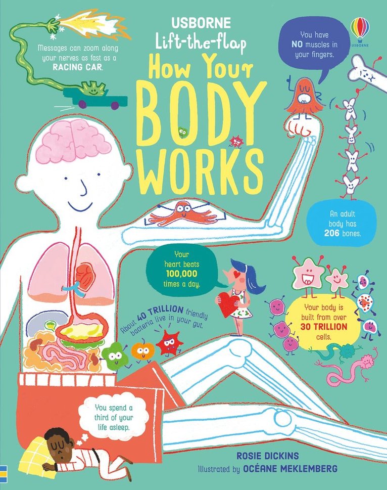 Lift-the-Flap How Your Body Works 1