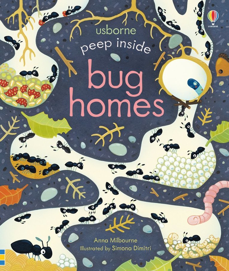 Peep Inside Bug Homes 1