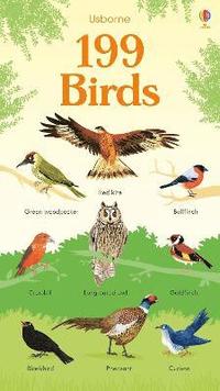 bokomslag 199 Birds