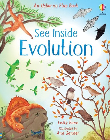 Emily Bone - See Inside Evolution, Kartonnage